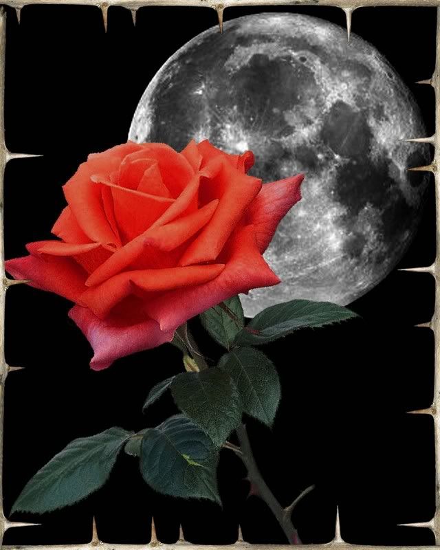 Red Rose and Moon For Nickie