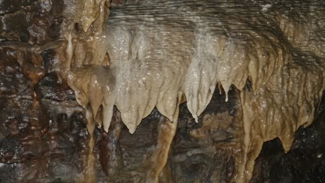 caves photo: White scar caves. Ingleton. _1060084_zps525331cf.jpg