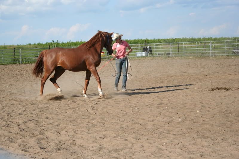 CUTE--Farrah and Wesley