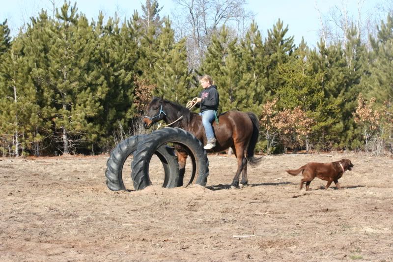 Back between the tires