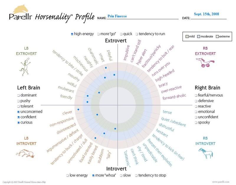 Horsenality Finesse