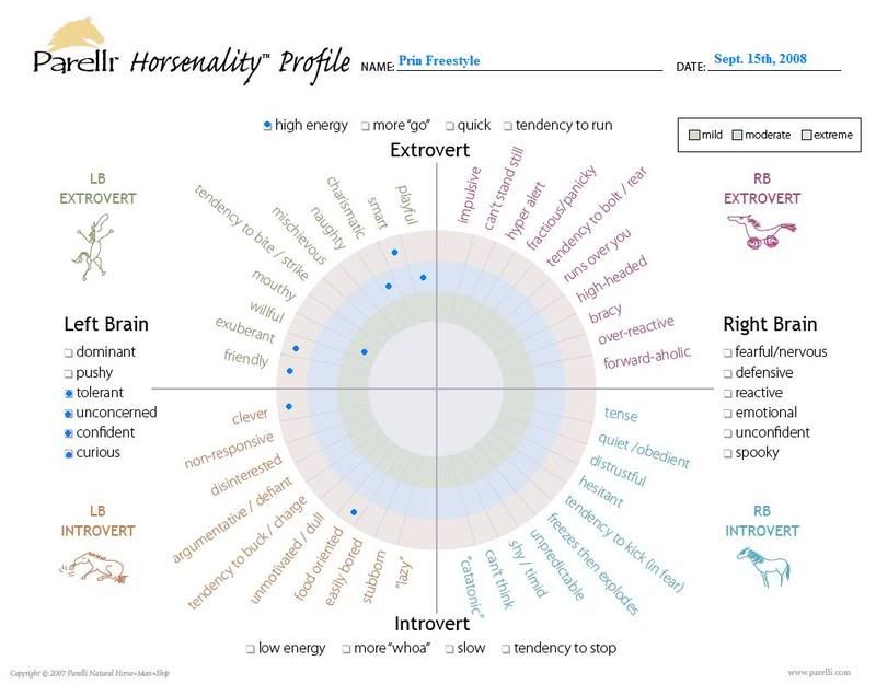 Horsenality Freestyle