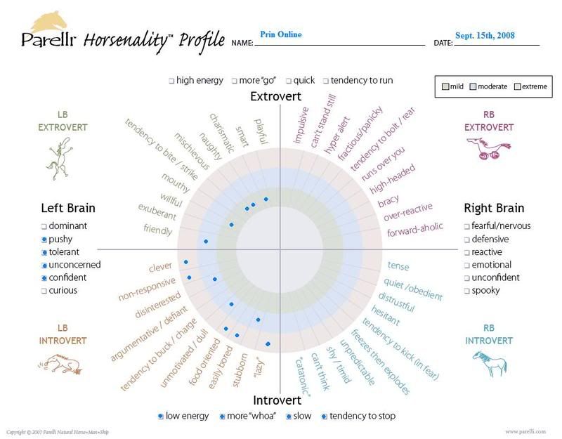 Horsenality Online