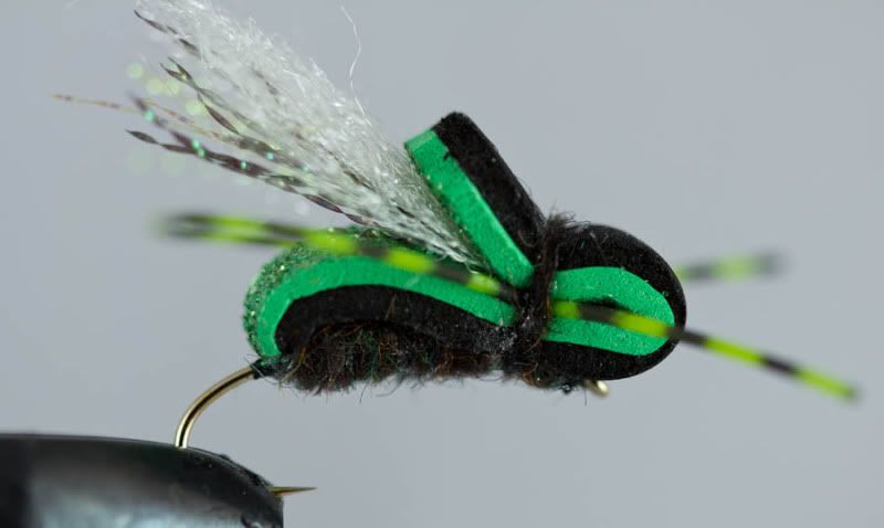 Clarks Cicada Fly