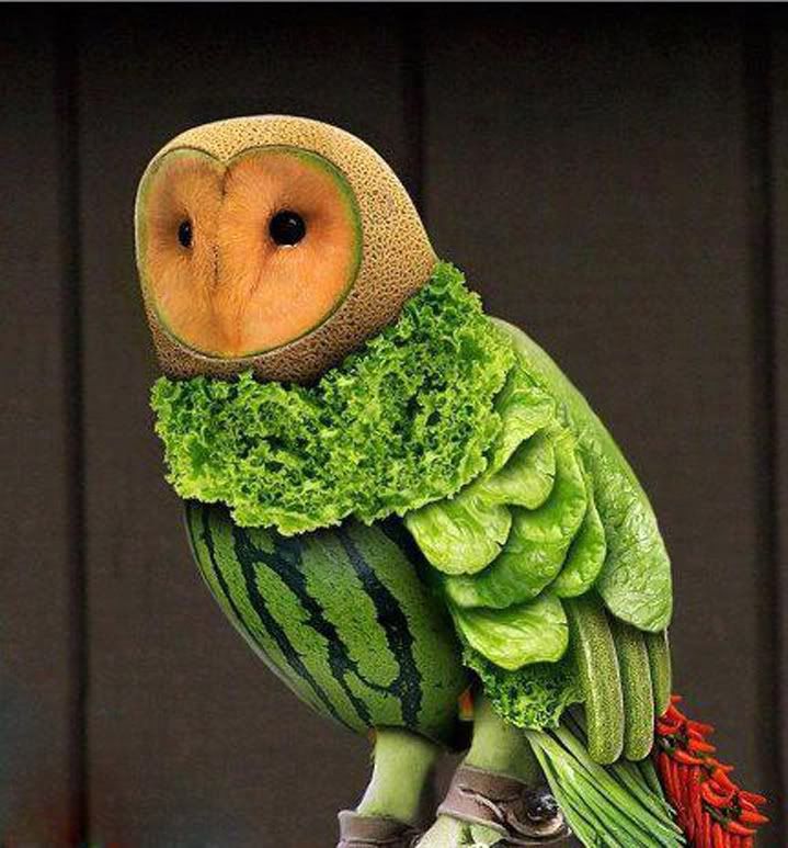 IMAGE: http://i60.photobucket.com/albums/h33/Airedale1/FruitOWL.jpg