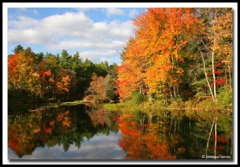 IMAGE: http://i60.photobucket.com/albums/h33/Airedale1/fall5.jpg