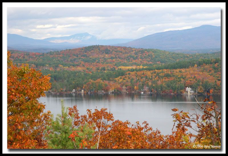 IMAGE: http://i60.photobucket.com/albums/h33/Airedale1/winni3.jpg