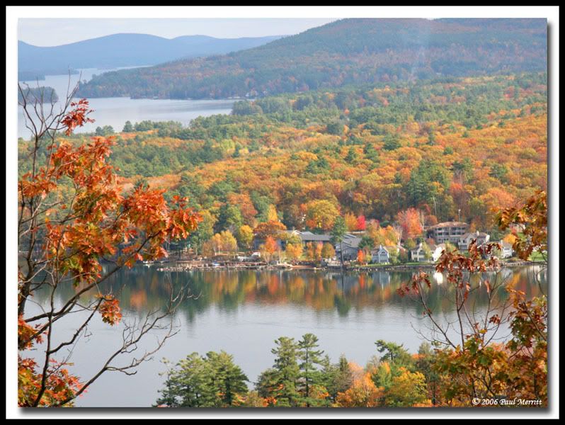 IMAGE: http://i60.photobucket.com/albums/h33/Airedale1/winni5.jpg