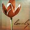 bb_flower_lonely.gif
