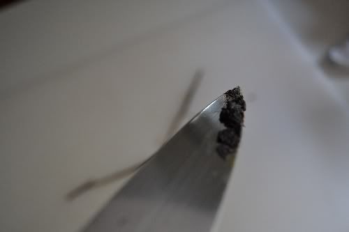 Vanilla Seeds on Chef's KNife