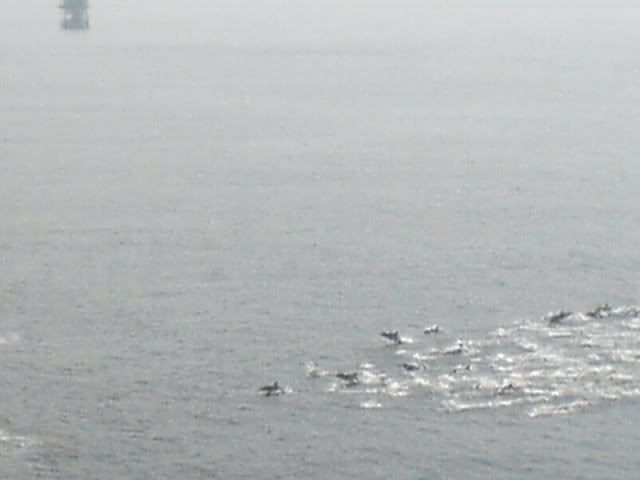 DSC00691.jpg