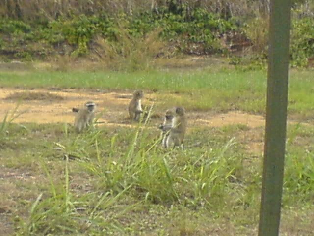 DSC00834.jpg