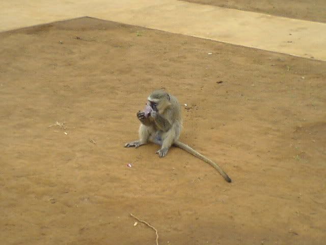 DSC00917.jpg