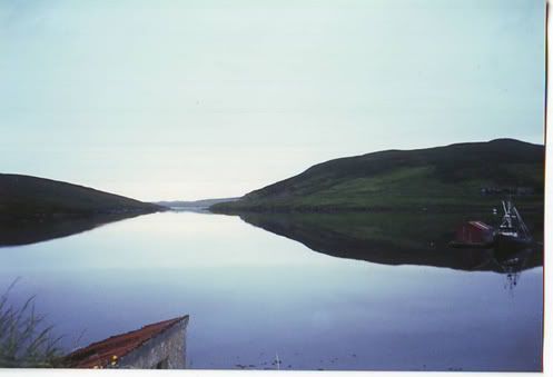 shetland1.jpg
