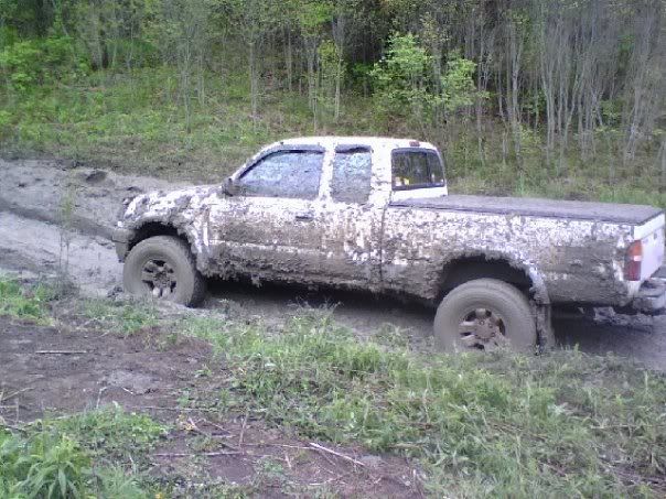 mud5.jpg