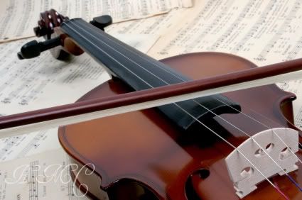 Violin