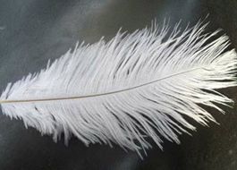 Nhập hàng theo yêu cầu quà tặng đồ chơi, trang trí nội thất, nguyên liệu handmade. - 12