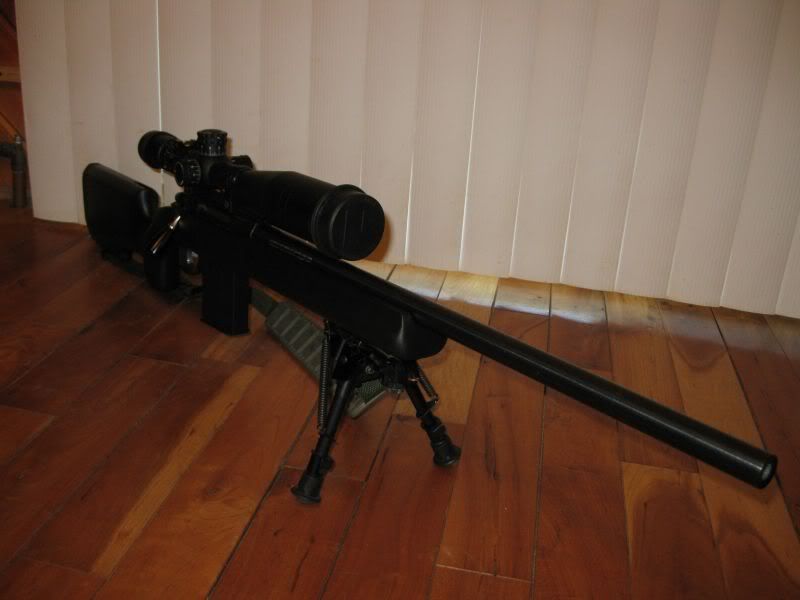Tikka2.jpg