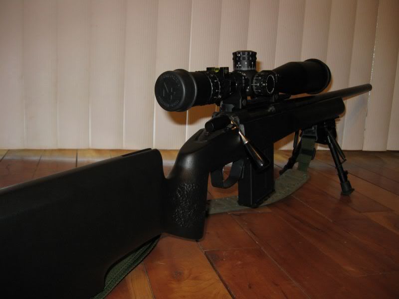 Tikka4.jpg