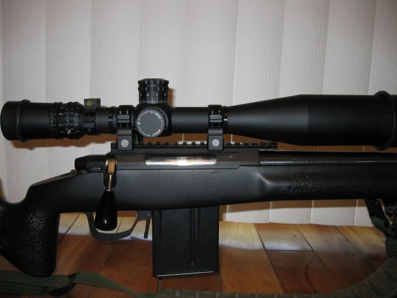 tikka1.jpg