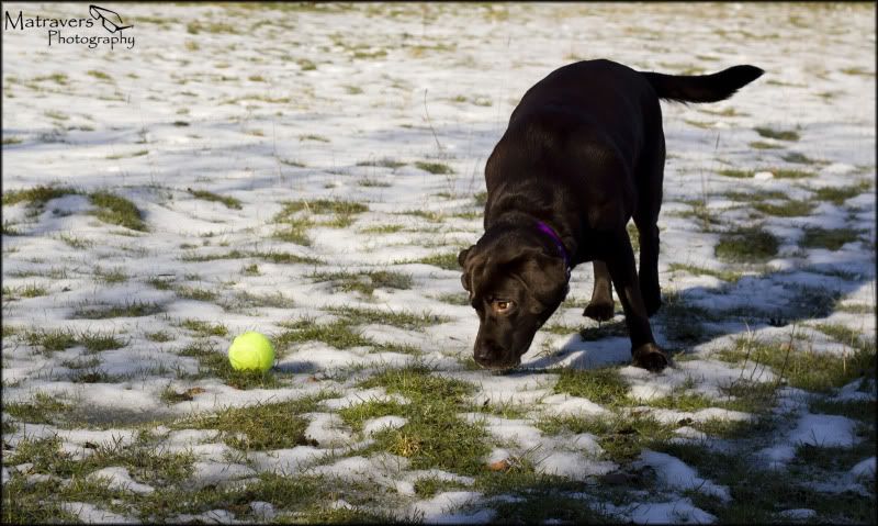 IMAGE: http://i60.photobucket.com/albums/h38/papa_al/Kiss%20X4/BallBallBall.jpg