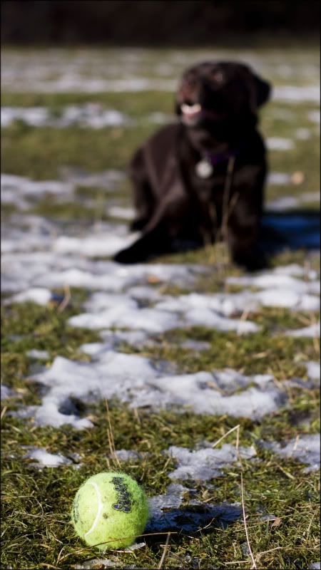 IMAGE: http://i60.photobucket.com/albums/h38/papa_al/Kiss%20X4/JessBokehBall.jpg