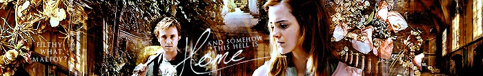 -Amazing banner by Carnal Spiral@TDA!-