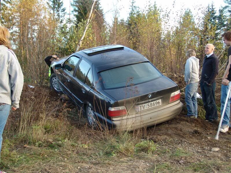 DSC07721Medium.jpg?t=1192470474