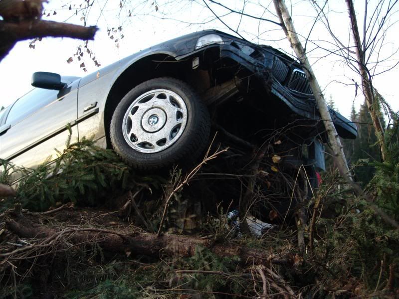 DSC07725Medium.jpg?t=1192470470