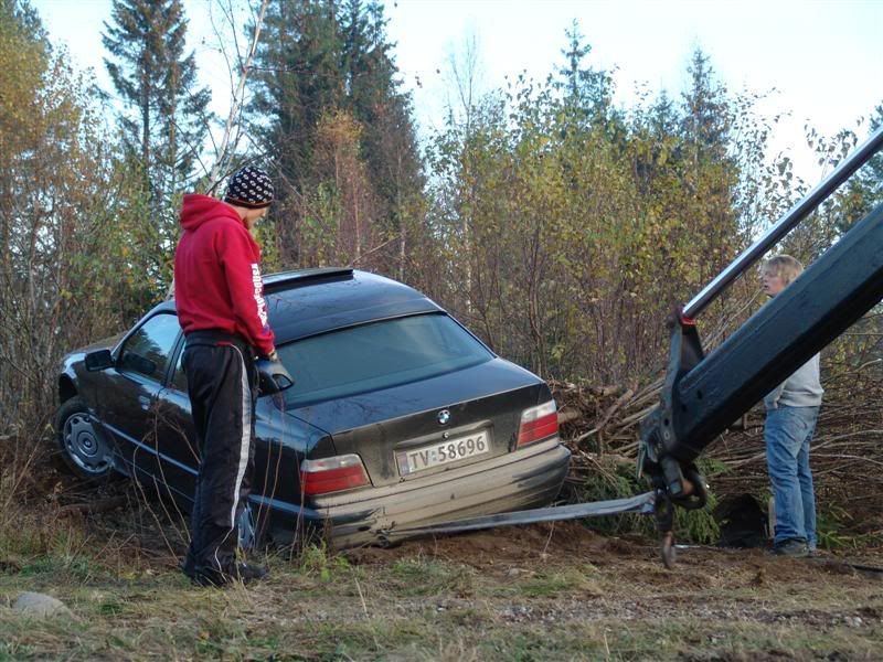 DSC07727Medium.jpg?t=1192470479