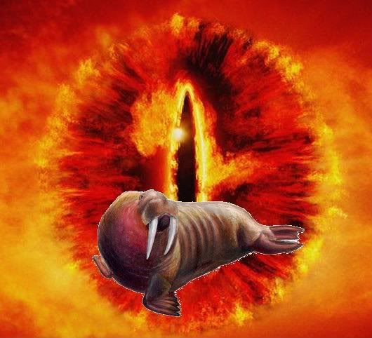 eye_walrus.jpg