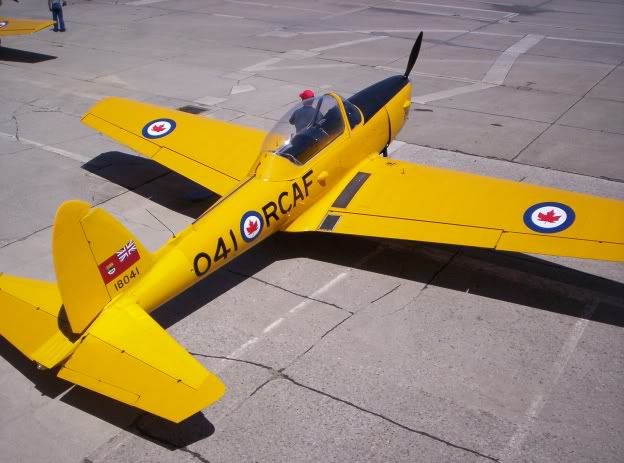 chipmunk12.jpg