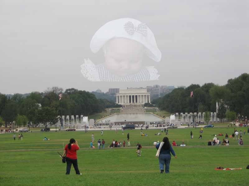 IMAGE: http://i60.photobucket.com/albums/h40/beckbear/IMG_0312-a1.jpg