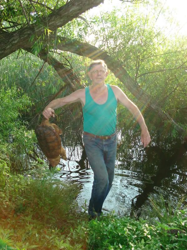 Snapping turtles - Homesteading Questions