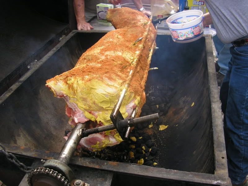Whole hog roast - Homesteading Questions