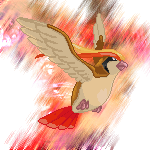 Pigeotmotionblur-1.png