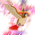 Pigeotmotionblur2.png