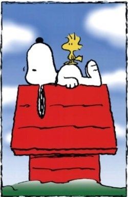 snoopy! Pictures, Images and Photos