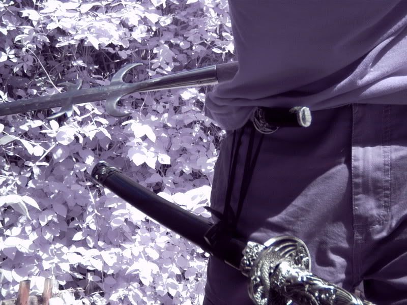 [Image: ICAM0011-1.jpg]