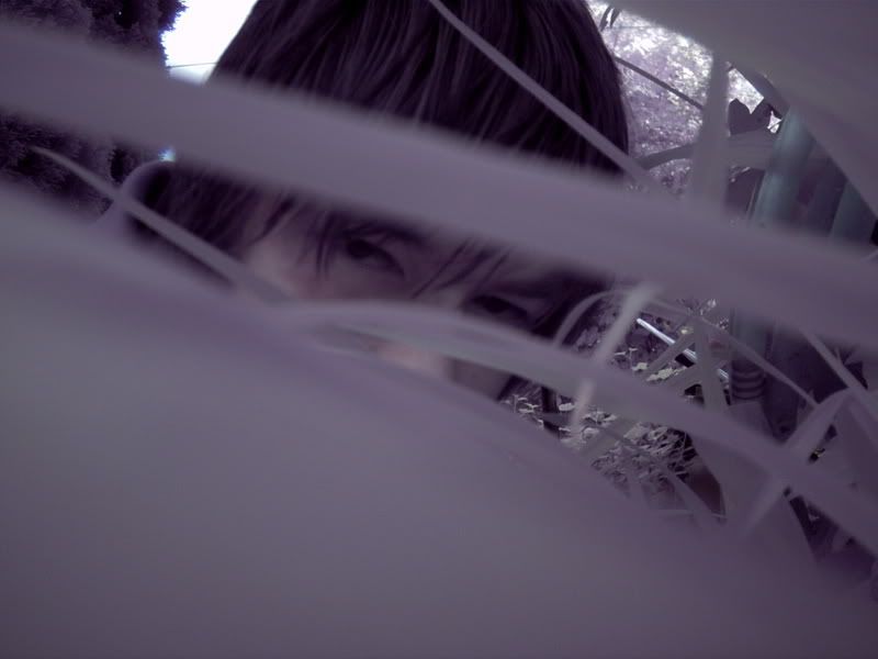 [Image: ICAM0018.jpg]