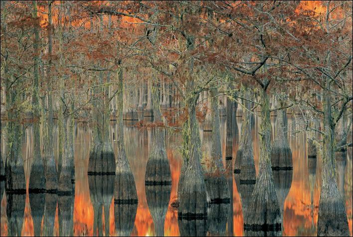 National Geographic's Best Pictures of the Year