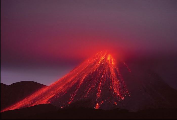 National Geographic's Best Pictures of the Year