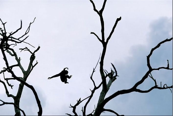 National Geographic's Best Pictures of the Year