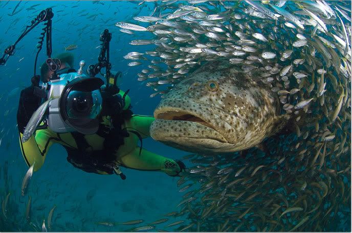 National Geographic's Best Pictures of the Year