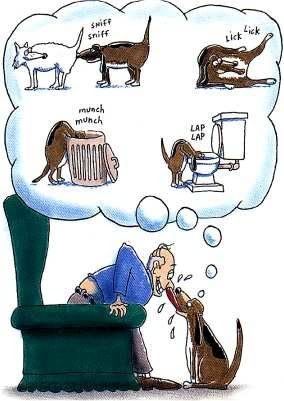 Where've your Dog been????