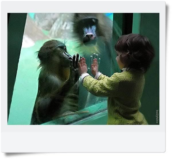 Cute Cute Babies ...