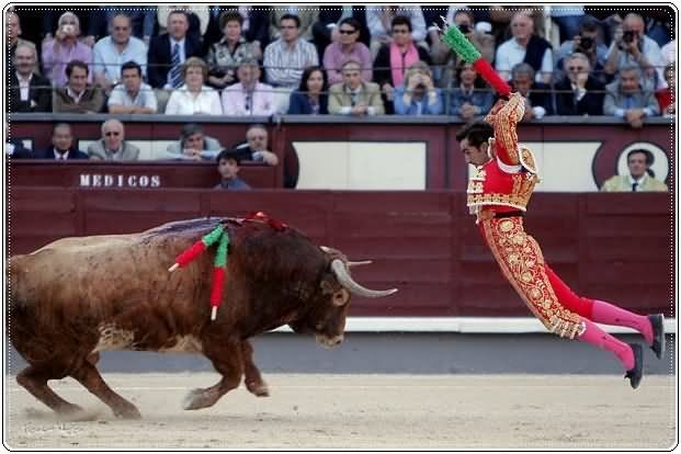 Best Pictures for Year 2009
