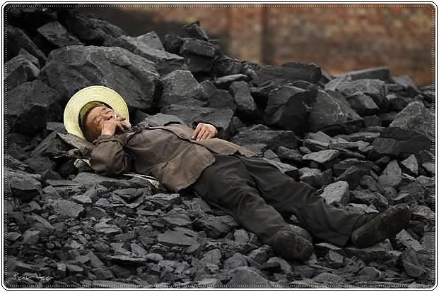 Best Pictures for Year 2009 from Around the World