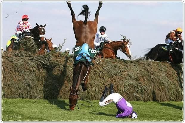 Best Pictures for Year 2009 from Around the World
