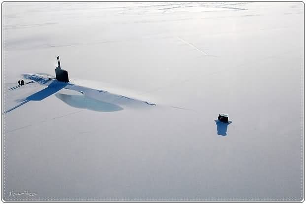 Best Pictures for Year 2009 from Around the World